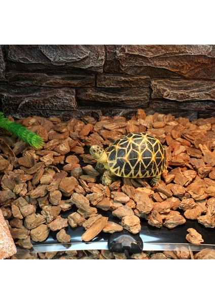 28X53CM Tarzı Isı Mat Sürüngen Brooder Kuluçka Pet Isıtma Pedi Brew Ab Tak 7W 14W 20W 28W Sıcak Satış (Yurt Dışından) indirimleri