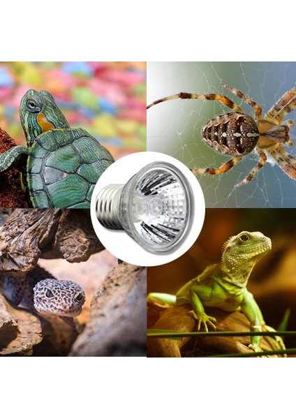 75W Tarzı Sürüngen Lamba Kaplumbağa Isıtma Lambası Uva Mini Pet Isı Ampul Amfibi Kertenkeleler Sıcaklık Kontrol Uv Işık (Yurt Dışından)