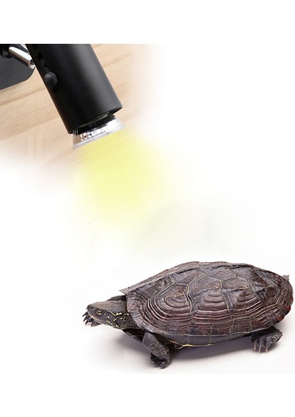 75W Tarzı Sürüngen Lamba Kaplumbağa Isıtma Lambası Uva Mini Pet Isı Ampul Amfibi Kertenkeleler Sıcaklık Kontrol Uv Işık (Yurt Dışından)