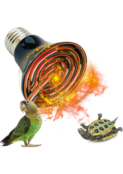 Seramik Ampul 50W Tarzı E27 Sürüngen Lamba Kaplumbağa Isıtma Lambası Mini Pet Isıtma Ampul Amfibi Kertenkele Termostat Ultraviyole Lamba Kızılötesi Seramik Isıtıcı (Yurt Dışından)