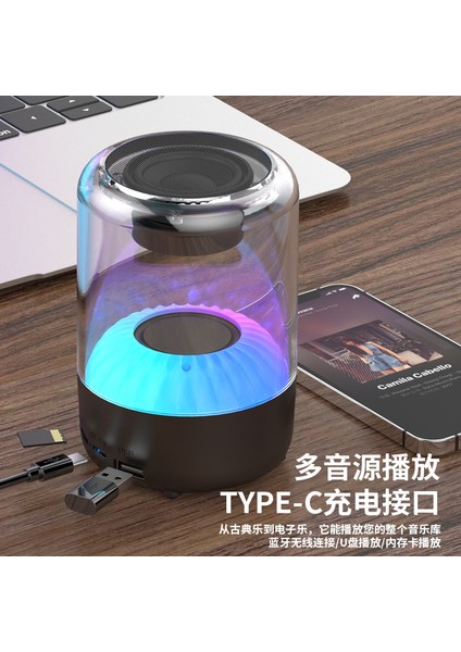 Bluetooth Ses Resmi Otantik Ev Açık Hava Küçük Taşınabilir Süper Bas Surround Müzik 2023 Yeni Model (Yurt Dışından)