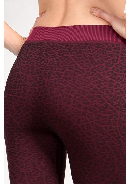 Calla Seamless Tayt
