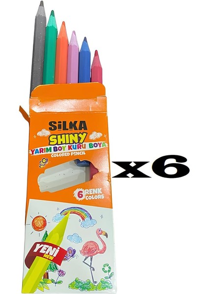 Shıny Yarım Boy 6'lı Kuru Boya 6 Paket