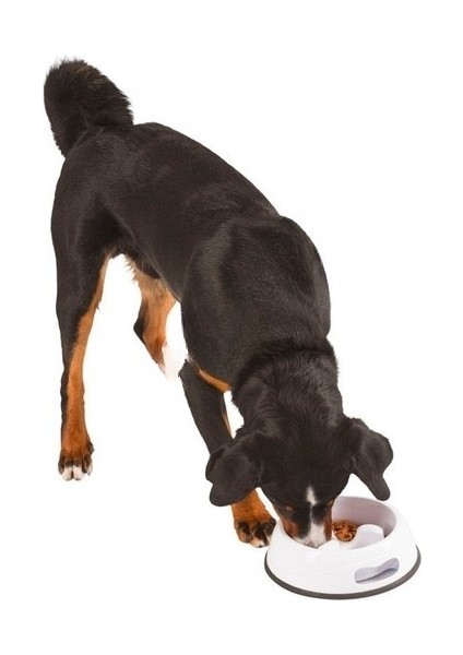 Köpek Yavaş Yeme Kabı Plastik 500 ml