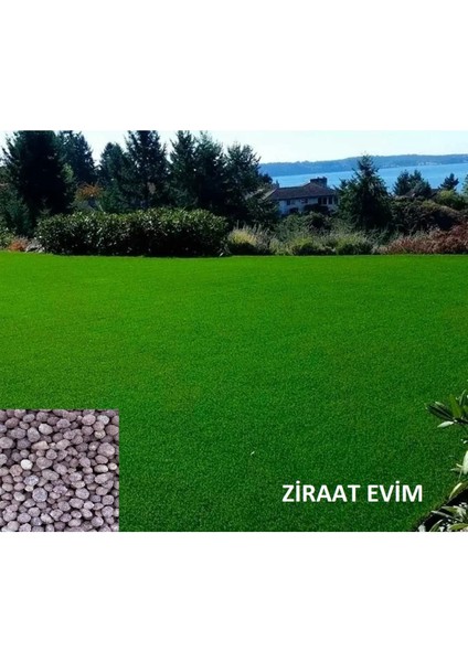 Çim Gübresi Yaz Bakım Gübresi Çim Coşturan Yavaş Salınımlı 1 kg Çim Vitamini fiyatları