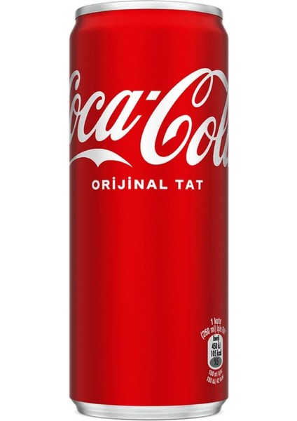 Coca Cola 250 ml 24'lü