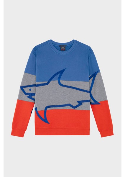 Renk Bloklu % 100 Pamuk Bisiklet Yaka Oversize Sweat Erkek Sweat 13311954 410