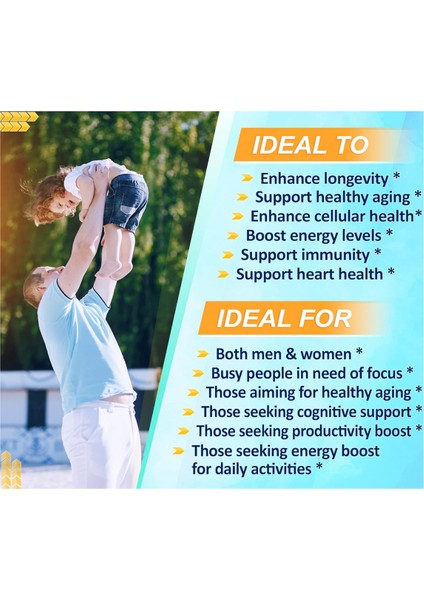 10 In 1 High Strength Resveratrol Nad 11 500mg With Quercetin Healthy Aging Immune Brain Boost Joint Support 90 Capsul