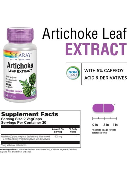 Artichoke Leaf Extract 600mg 60 Vegcapsul Healthy Liver Gall Bladder & Digestive Usa Menşei