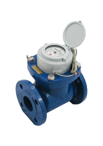 Wp-Sdc DN50 Soğuk Su Sayacı