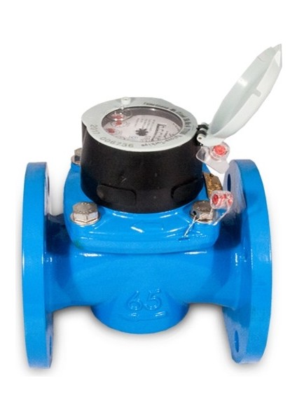S-Meter Wp-Sdc Plus DN65 Soğuk Su Sayacı