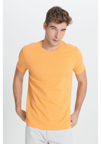 AC&Co / Altınyıldız Classics Erkek Kavun Icı Slim Fit Dar Kesim Modal Bisiklet Yaka Yumuşak Tuşeli Esnek Basic Tişört