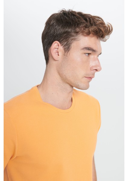 AC&Co / Altınyıldız Classics Erkek Kavun Icı Slim Fit Dar Kesim Modal Bisiklet Yaka Yumuşak Tuşeli Esnek Basic Tişört