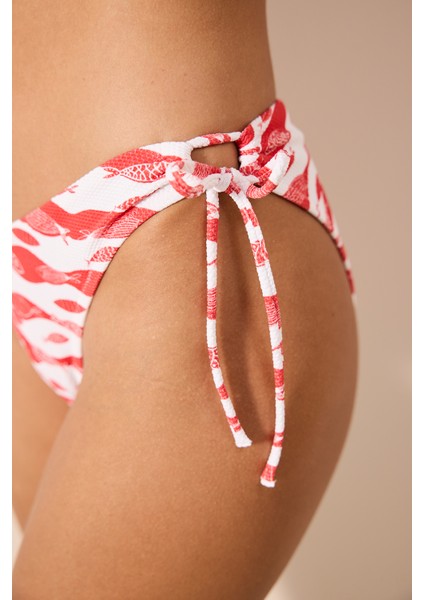 Marine Fish V Ring Dokulu Çok Renkli Bikini Altı
