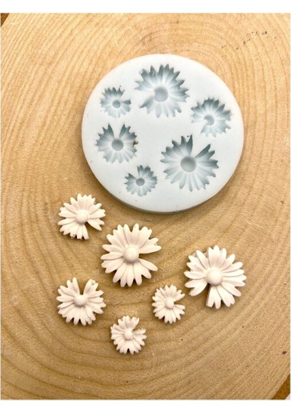 Altılı Çiçek Silikon Kalıp