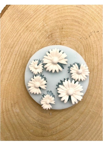 Altılı Çiçek Silikon Kalıp fiyatları