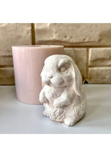 Gururlu Tavşan Silikon Kalıp