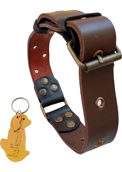 Köpek boyun tasması hakiki deri kahverengi kalınlık:4mm genişlik:3,5cm boyun ölçüsü:24-50cm ayarlamalı dog collar T1-1 modelleri