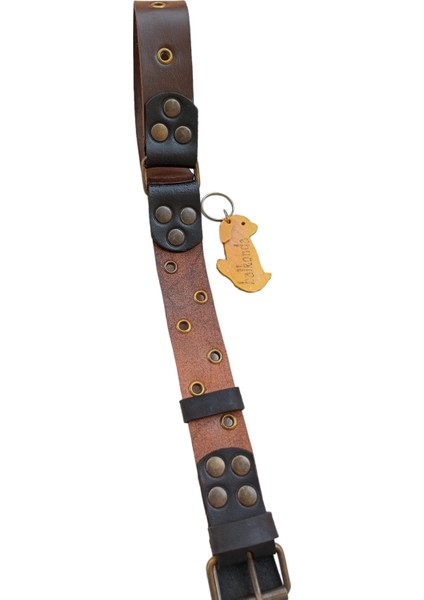 Köpek boyun tasması hakiki deri kahverengi kalınlık:4mm genişlik:3,5cm boyun ölçüsü:24-50cm ayarlamalı dog collar T1-1 fırsatları