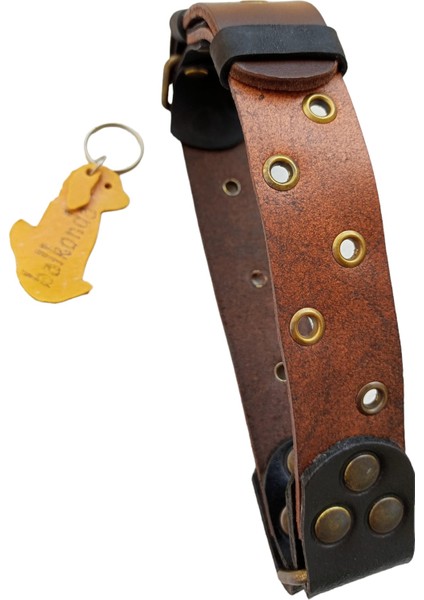 Köpek boyun tasması hakiki deri kahverengi kalınlık:4mm genişlik:3,5cm boyun ölçüsü:24-50cm ayarlamalı dog collar T1-1 fiyatları