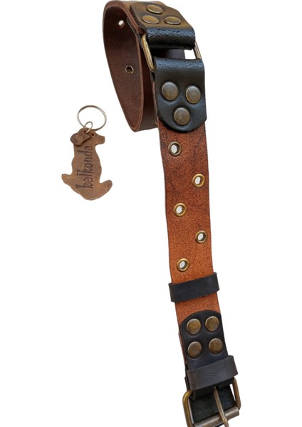 Köpek boyun tasması hakiki deri kahverengi kalınlık:4mm genişlik:3,5cm boyun ölçüsü:24-50cm ayarlamalı dog collar T1-1