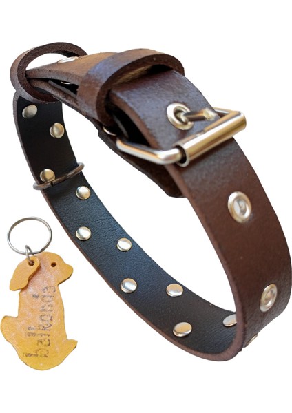Köpek Boyun tasması hakiki deri kahverengi zımbalı kalınlık:3mm genişlik:3cm boyun ölçüsü:L.36-45cm ayarlamalı dog collar T1-27
