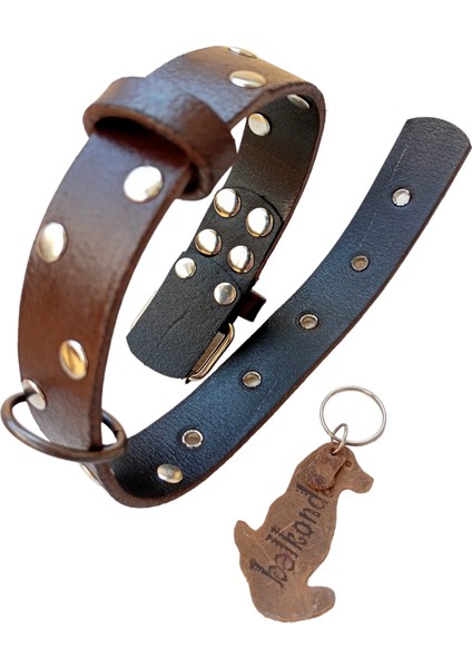 Köpek Boyun tasması hakiki deri kahverengi zımbalı kalınlık:3mm genişlik:3cm boyun ölçüsü:L.36-45cm ayarlamalı dog collar T1-27 modelleri