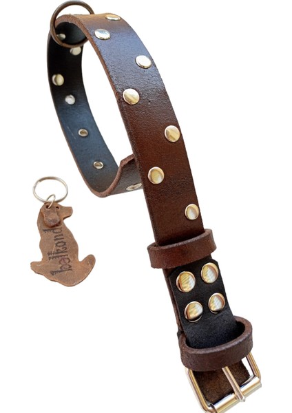 Köpek Boyun tasması hakiki deri kahverengi zımbalı kalınlık:3mm genişlik:3cm boyun ölçüsü:L.36-45cm ayarlamalı dog collar T1-27 fırsatları