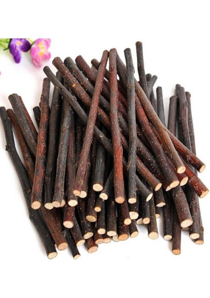 Kemirgenler Için Elma Ağacı Dalı fiyatları