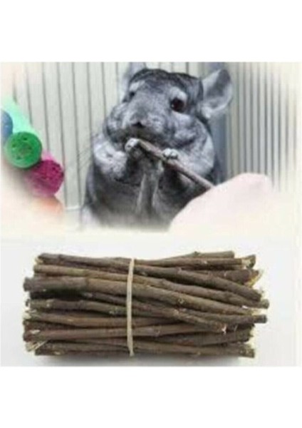 Kemirgenler Için Elma Ağacı Dalı modelleri