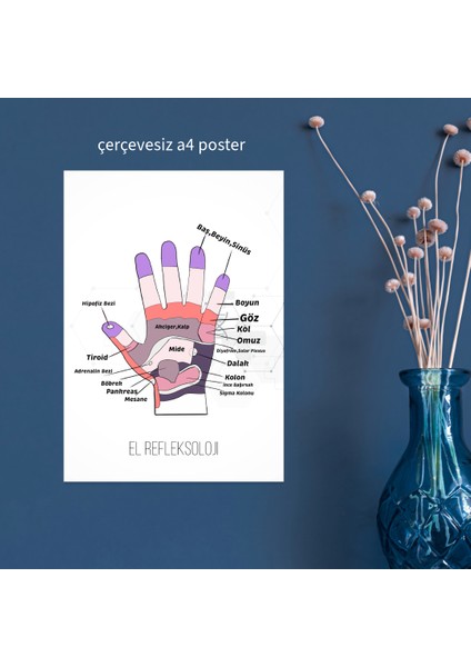 Akupuntur El Refleksoloji Haritası A4 Çerçevesiz Poster