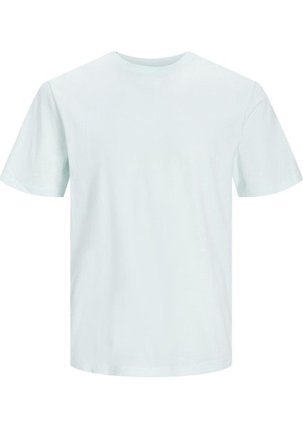 Erkek Bisiklet Yaka Tişört 12156101 modelleri