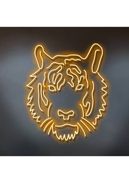 Kaplan Neon