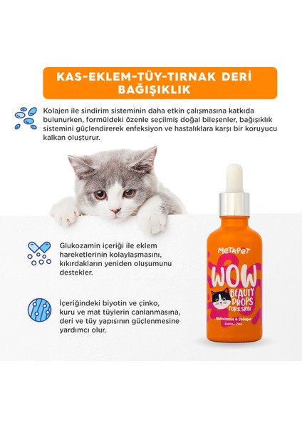 Tüy Döken Kedilere Özel Set - Tüy Sağlığı Damlası ve Kuru Şampuanı - Multivitamin