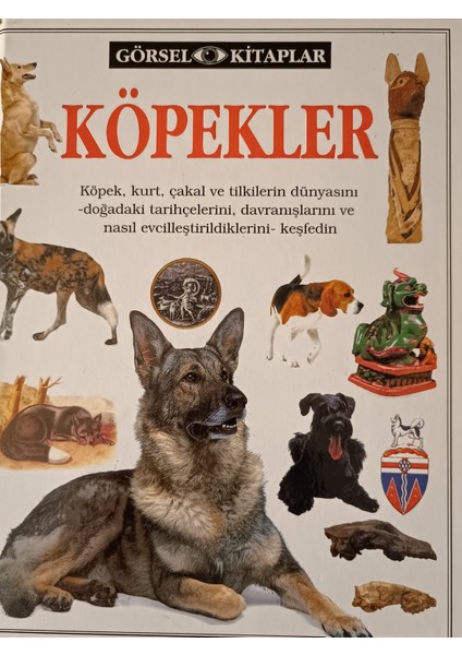 Köpekler - Köpek, Kurt, Çakal ve Tilkilerin Dünyasını Doğadaki Tarihçelerini Keşfedin - Juliet Clutton-Brock