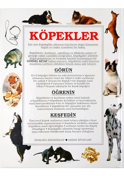 Köpekler - Köpek, Kurt, Çakal ve Tilkilerin Dünyasını Doğadaki Tarihçelerini Keşfedin - Juliet Clutton-Brock