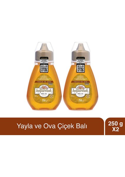 Çıtkapak Yayla ve Ova Çiçek Balı 250 gr x 2