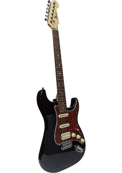 MEG-2BIV Elektro Gitar modelleri