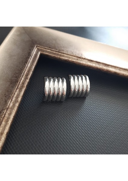 Vip Serisi Gümüş Renk 5 Sıra Kadın Küpe indirimleri