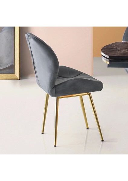 Vr Metal Gold Ayaklı Babyface Kumaş Salon Balkon ve Mutfak Sandalyesi 6 Adet fiyatları
