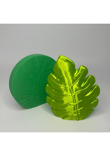 Bitki Yaprağı - Monstera Vazo