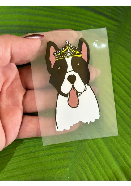 8 x 4 cm Ütü Ile Yapışan Köpek Arma Transfer Baskı