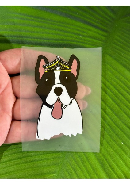 8 x 4 cm Ütü Ile Yapışan Köpek Arma Transfer Baskı fiyatları