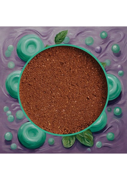 Decaf Mint Coffee - Kafeinsiz Nane Aromalı Filtre Kahve, 200 Gr fiyatları