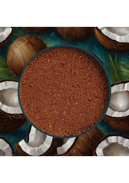 Decaf Coconut Coffee - Kafeinsiz Hindistan Cevizi Aromalı Filtre Kahve, 200 Gr fiyatları