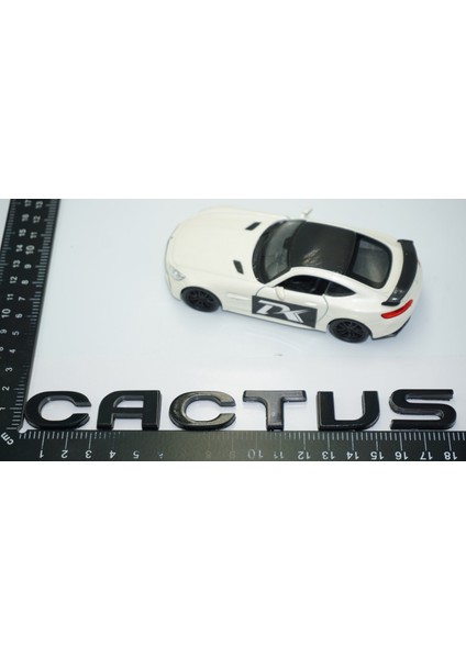 Cactus Bagaj Siyah Abs Logo Arma Yazı Citroen Ile Uyumlu fırsatları