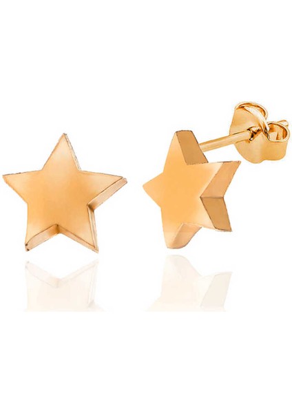 Gümüş Rose Yıldız Çivili Kadın Küpe fiyatları