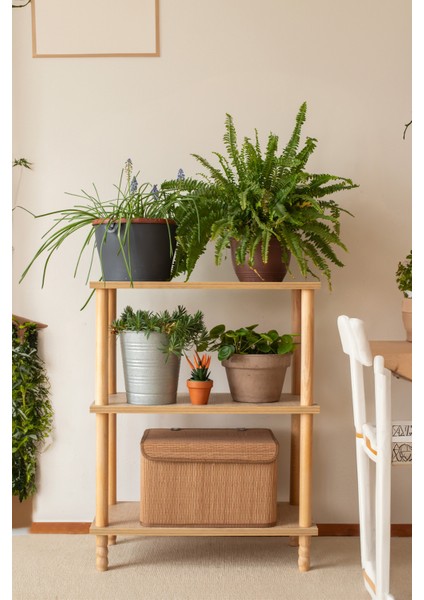 Concept 2 Raflı Organizer Kitaplık Banyo Mutfak Dolabı Balkon Ofis Düzenleyici Ahşap Nature