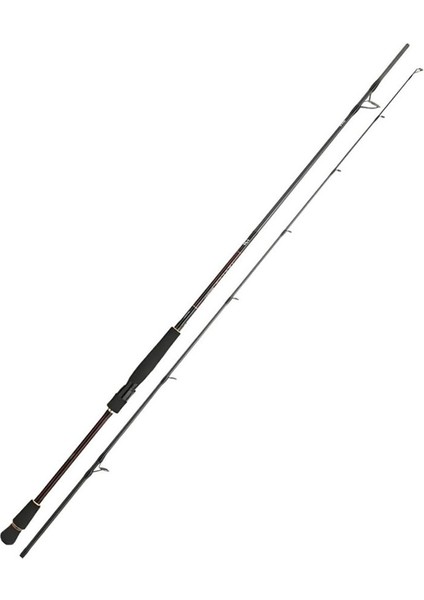 Infeet Seabass 244 cm 7-28 gr Spin Kamış