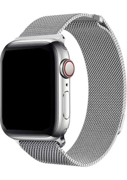 Apple Watch 9 Uyumlu 45MM Mıknatıslı Hasır Metal Kordon-01 Gümüş fiyatları